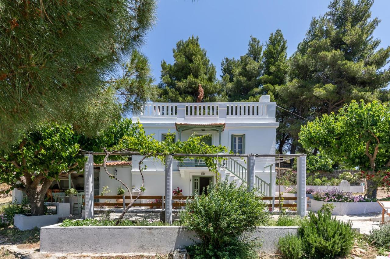 Villa Ambeli Skopelos Eksteriør billede