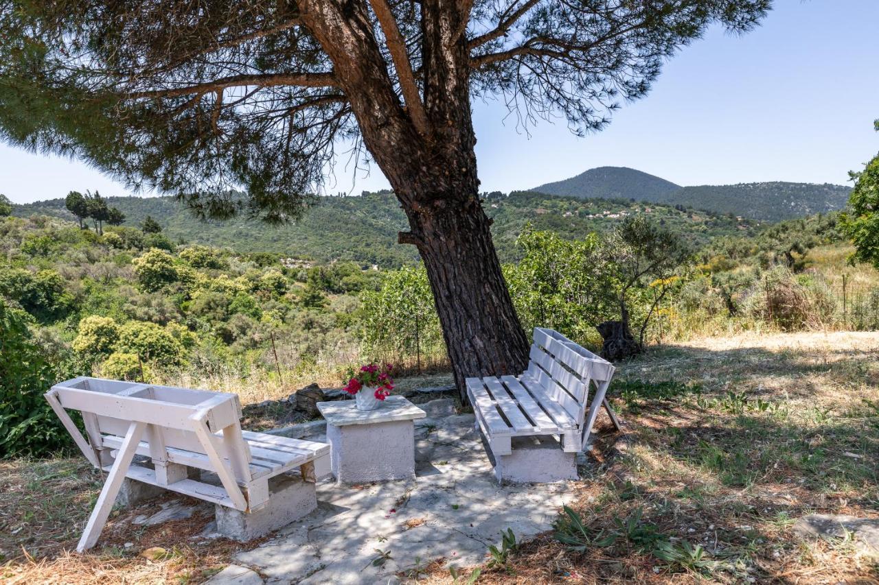 Villa Ambeli Skopelos Eksteriør billede